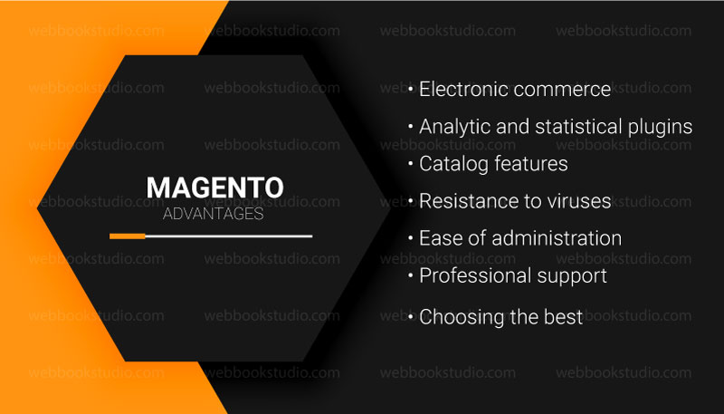 Custom magento website advantages