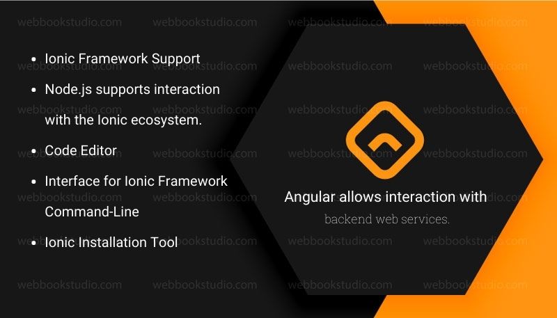 Angular-allows-interaction-with-backend-web-services