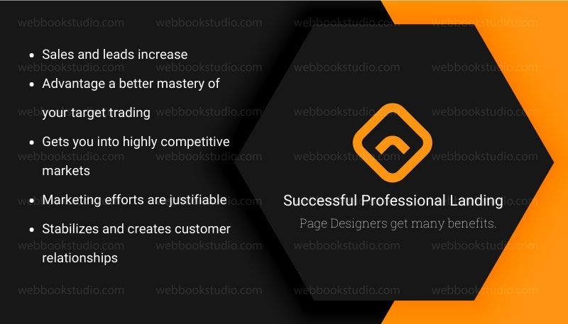 Successful-Professional-Landing-Page-Designers-get-many-benefits