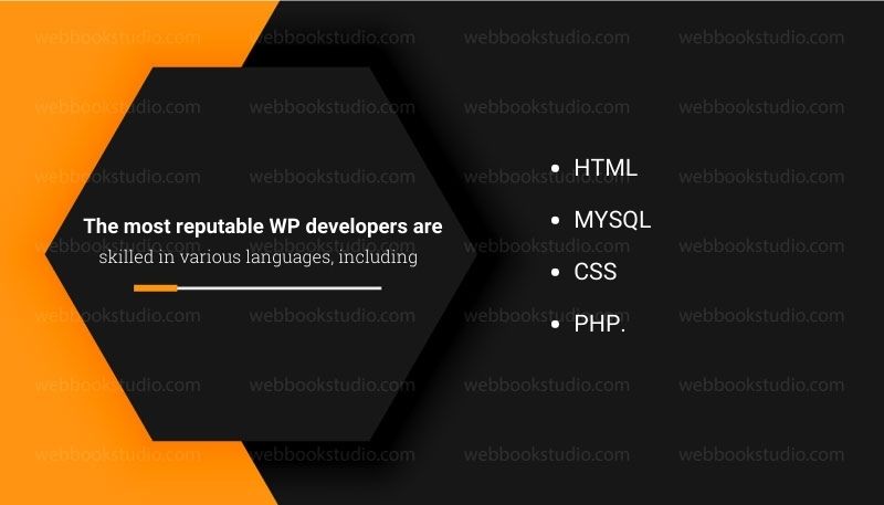 The-most-reputable-WP-developers-are-skilled-in-various-languages-including