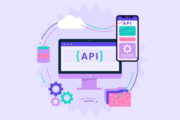 Understanding API and it's importance in wordpress integration