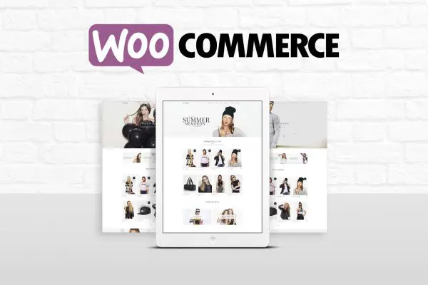 WooCommerce pricing: Is it worth the cost for your online store