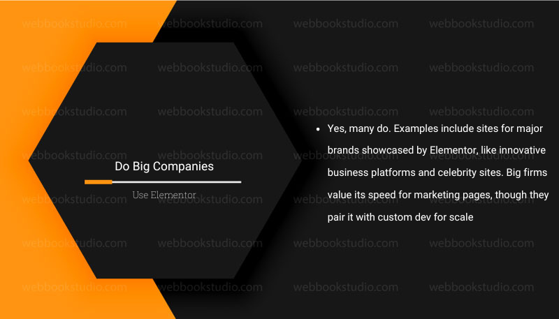 Do Big Companies Use Elementor