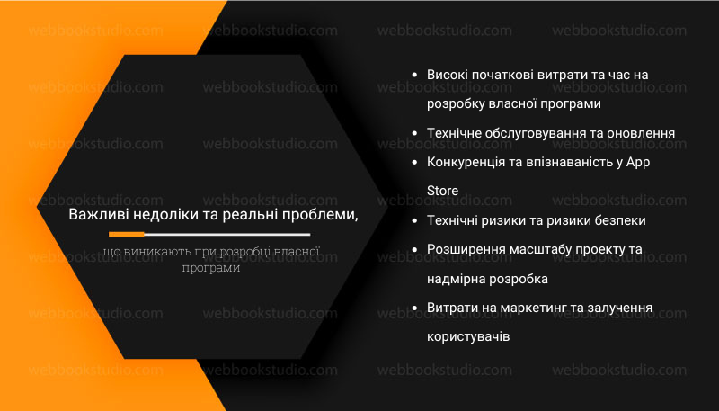 Важливі недоліки та реальні проблеми, що виникають при розробці власної програми