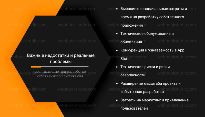Важные недостатки и реальные проблемы, возникающие при разработке собственного приложения