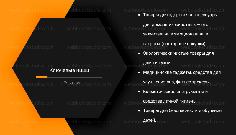 Ключевые ниши на 2026 год
