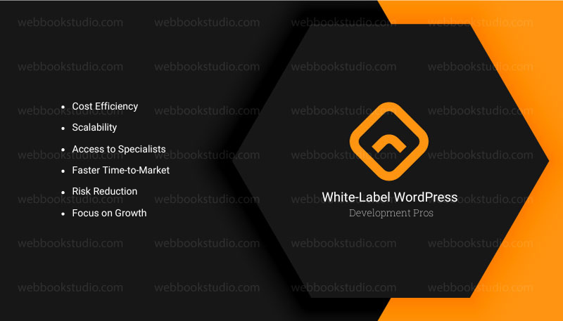 White-Label WordPress Development Pros