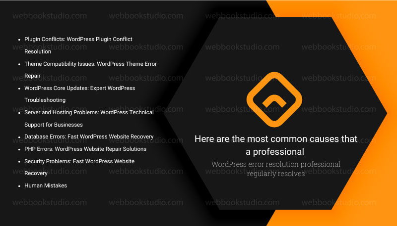 Here are the most common causes that a professional WordPress error resolution professional regularly resolves